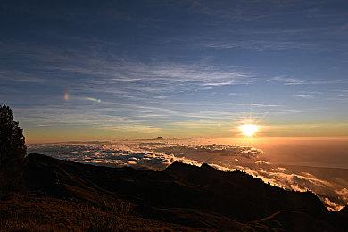 今天是《生化危机8》发售一周年